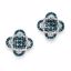 QE10787 White Night Sterling Silver Blue and White Diamond Post Earrings