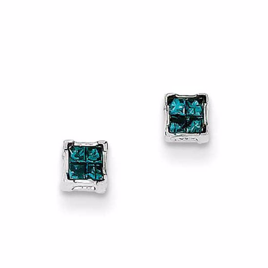 QE10762 White Night Sterling Silver Blue Princess Cut Diamond Post Earrings