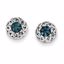 QE10800 White Night Sterling Silver Blue & White Diamond Round Post Earrings
