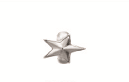 1100 Rising Star - Sterling Silver