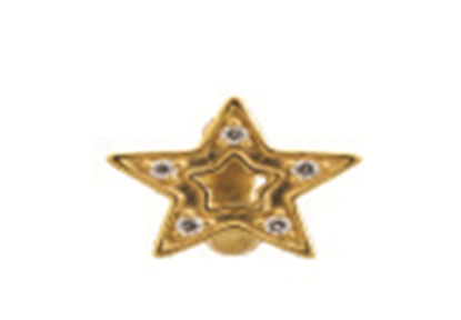 1576 Shiny Star - 18K Gold Plated - Purple