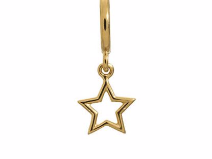 53204 Star Gold