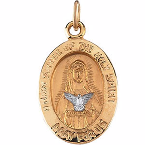 R16383:67317:P 14kt Yellow & White 14 Mary of Holy Spirit Medal