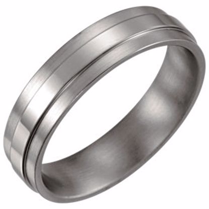 50208:241863:P Titanium 6mm Band Size 12