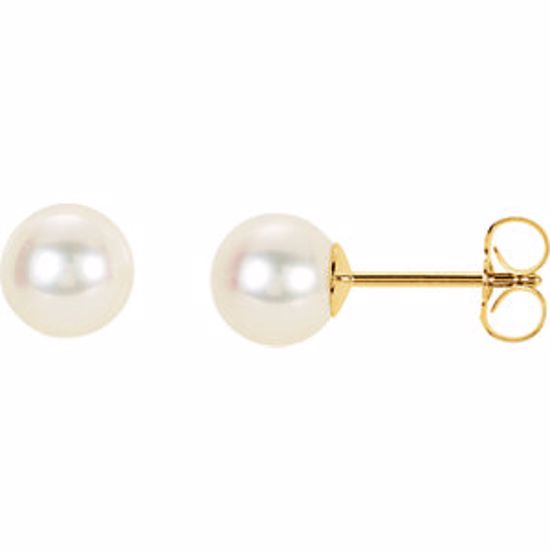 61659:2533580:P 14kt Yellow 6.5-7mm Panache&trade; Freshwater Cultured Pearl Earrings