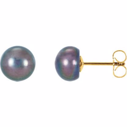 61662:2533740:P 14kt Yellow Freshwater Cultured Black Button Pearl Earrings