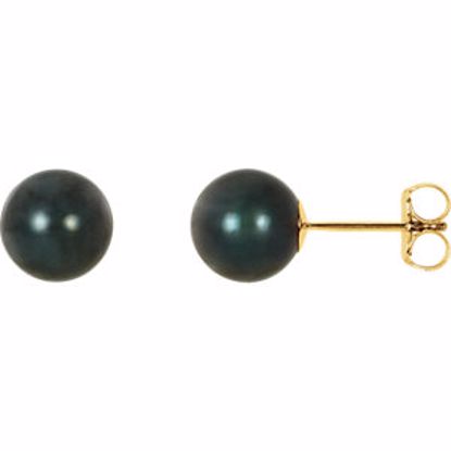 61104:2619700:P 14kt Yellow 7mm Black Akoya Cultured Pearl Earrings