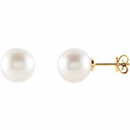 63484:2939910:P 18kt Yellow 12mm Round South Sea Pearl Earrings