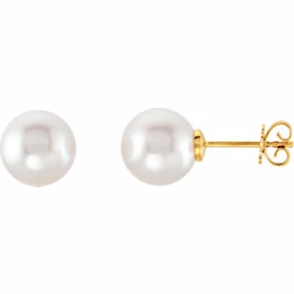 62957:2939460:P 14kt Yellow 11mm Near Round Fine South Sea Pearl Earrings