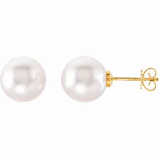 62958:2879710:P 18kt Yellow 13mm Near Round South Sea Cultured Fashion Pearl Earrings