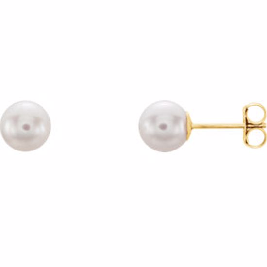 61103:2619720:P 14kt Yellow 6mm White Akoya Cultured Pearl Earrings