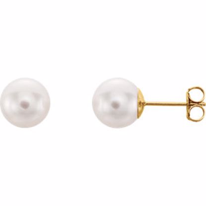 61103:2521330:P 14kt Yellow 8mm White Akoya Cultured Pearl Earrings