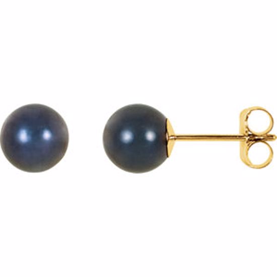 61104:2619690:P 14kt Yellow 6mm Black Akoya Cultured Pearl Earrings