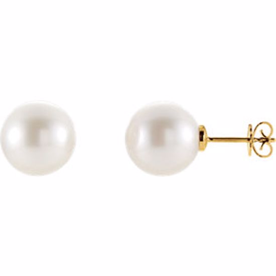 63484:2939960:P 14kt Yellow 14mm Round South Sea Pearl Earrings