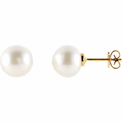 63484:2939870:P 18kt Yellow 10mm Round South Sea Pearl Earrings