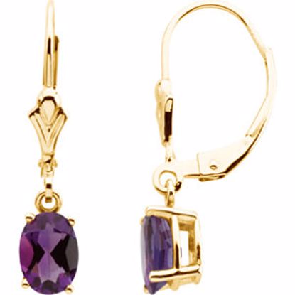 61023:2621770:P 14kt Yellow Amethyst Earrings