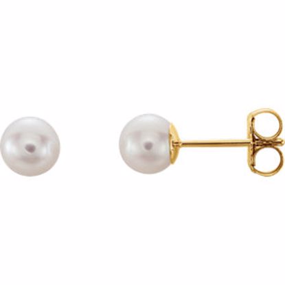 61103:2619710:P 14kt Yellow 5mm White Akoya Cultured Pearl Earrings