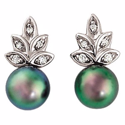 64216:1004500:P Akoya Cultured Pearl & Diamond Earrings