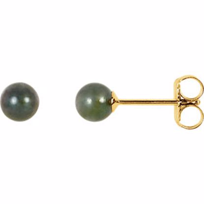 61104:2521740:P 14kt Yellow 4mm Black Akoya Cultured Pearl Earrings