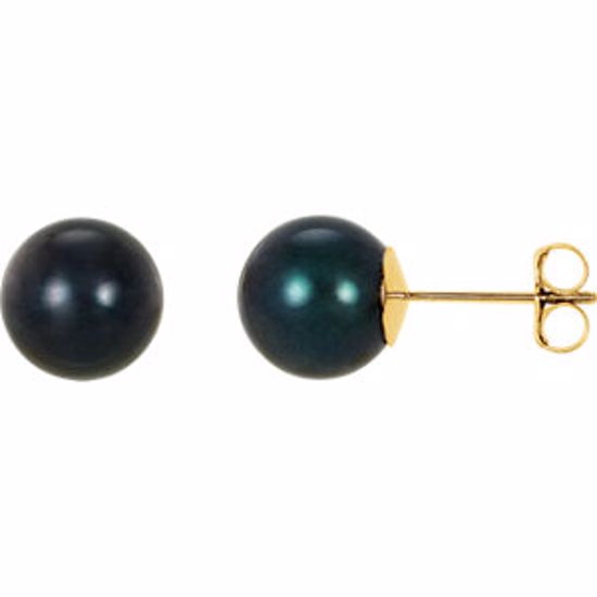 61104:2521760:P 14kt Yellow 8mm Black Akoya Cultured Pearl Earrings