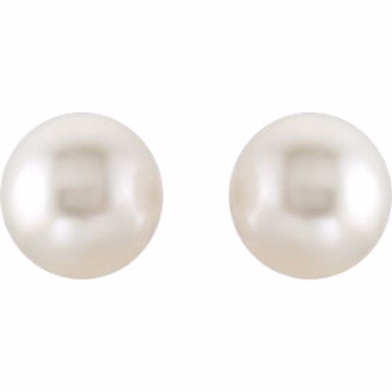 62955:2939370:P 18kt Yellow 15mm South Sea Cultured Pearl Earrings 