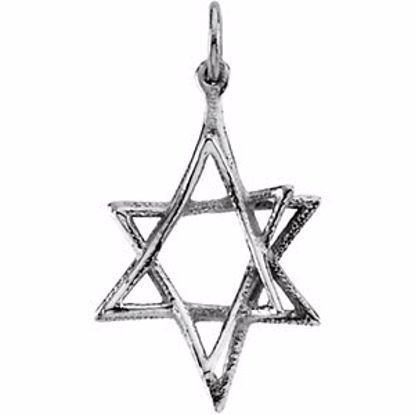 R41674:60002:P 14kt White 20.75x15.25mm Star of David Pendant