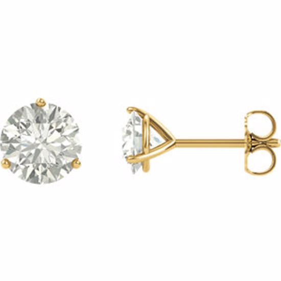 65782:60022:P 14kt Yellow 6.5mm Round Charles & Colvard Moissanite® Earrings 