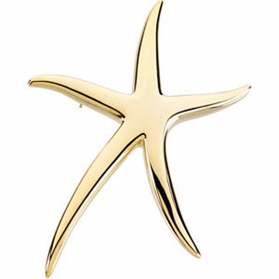 84141:100001:P Starfish Brooch / Pendant