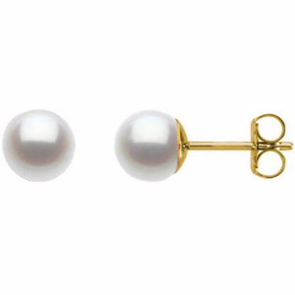 66776:1614:P Freshwater Cultured Pearl Earrings