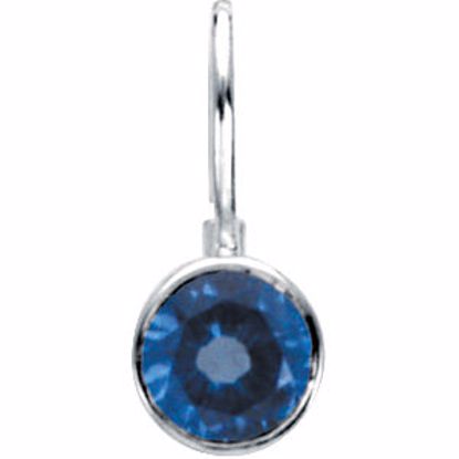 67053:121:P Sterling Silver December Birthstone 12.5x5.75mm Hook Charm/Pendant