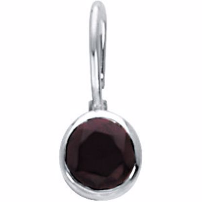 67053:114:P Sterling Silver January Birthstone 12.5x5.75mm Hook Charm/Pendant