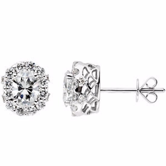 66932:102:P Charles & Colvard Moissanite® & Diamond Halo-Style Earrings