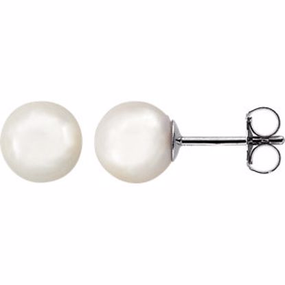 61103:104:P 14kt White 7mm White Akoya Cultured Pearl Earrings