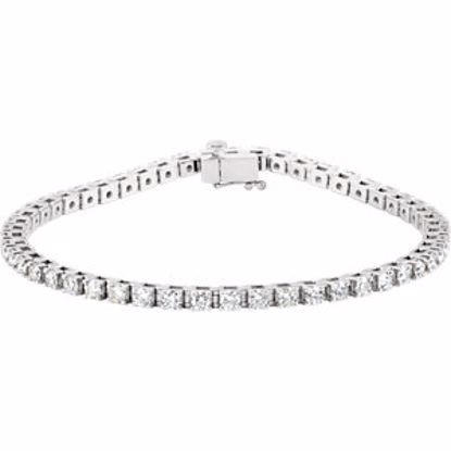 67396:60002:P 14kt White 3 1/2 CTW Diamond Line 7.25" Bracelet