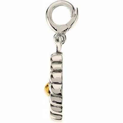 84725:84676:P Two Tone Fashion Charm