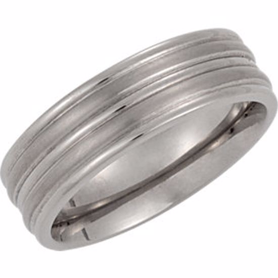 T849:101:P Titanium Band