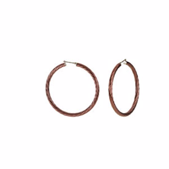 E195:106:P Immerse Plated Amalfi&trade; Stainless Steel Twisted Hoop Earrings