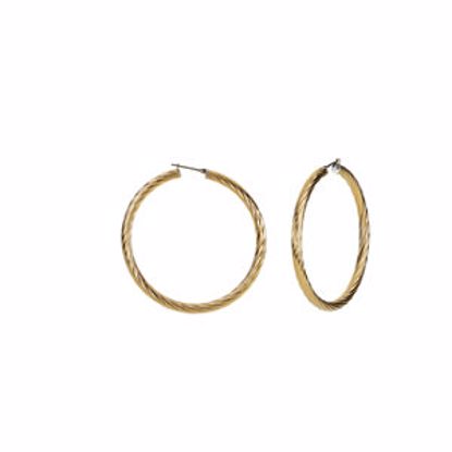 E195:109:P Immerse Plated Amalfi&trade; Stainless Steel Twisted Hoop Earrings