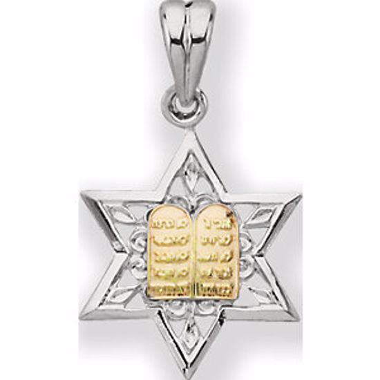 R42267:100:P Star of David Medal