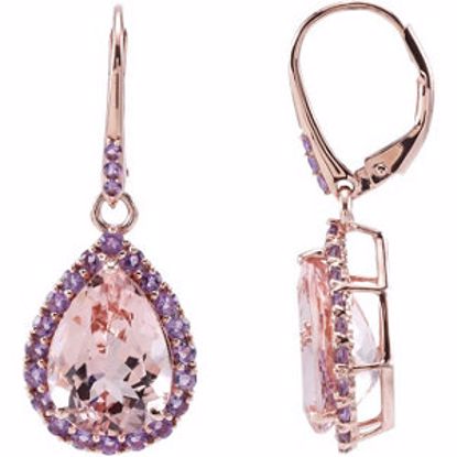 68510:101:P 14kt Rose Morganite & Amethyst Leverback Earrings