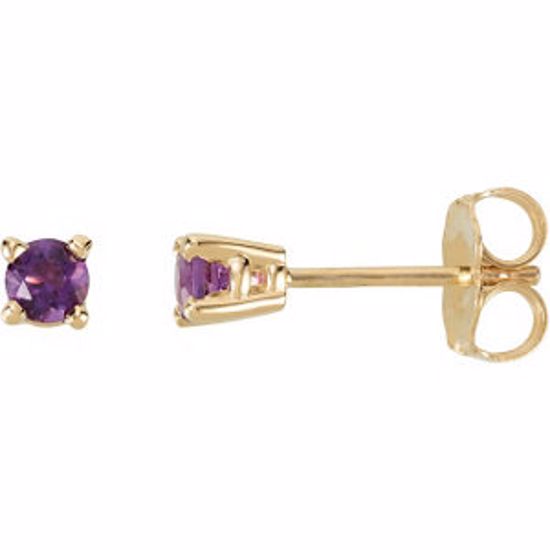 68619:117:P 14kt Yellow 3mm Round Amethyst Friction Post Stud Earrings