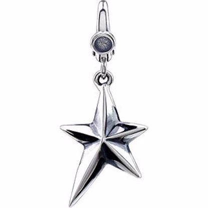 69392:100:P Star Charm