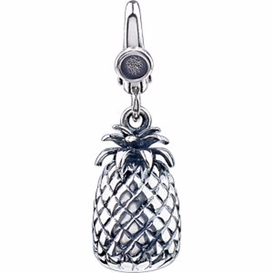 69439:101:P Pineapple Charm