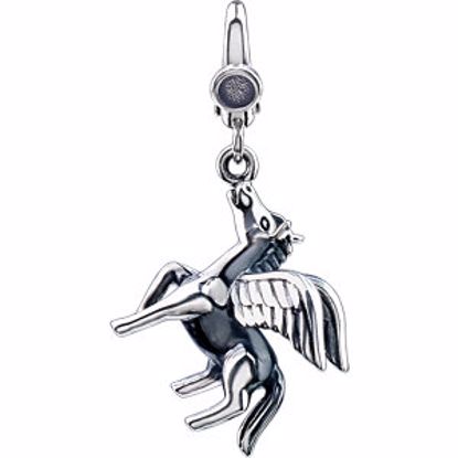 69443:101:P Pegasus Charm