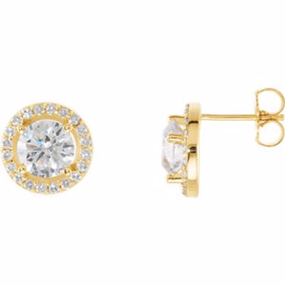 28308:60011:P 14kt Yellow 2 1/2 CTW Diamond Halo-Styled Earrings