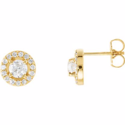 28308:60008:P 14kt Yellow 1 CTW Diamond Halo-Styled Earrings