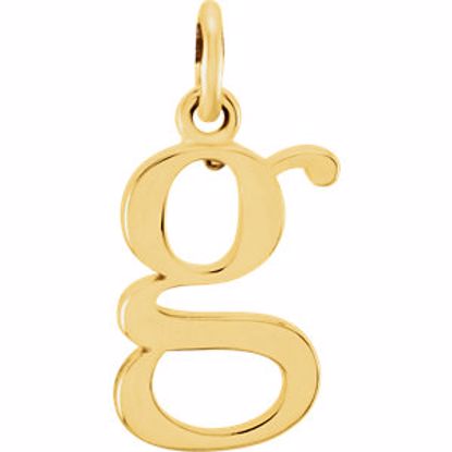 85780:1032:P 14kt Yellow "g" Lowercase Initial Pendant