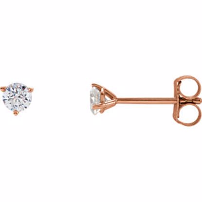 66233:60068:P 14kt Rose 1/4 CTW Diamond Stud Earrings