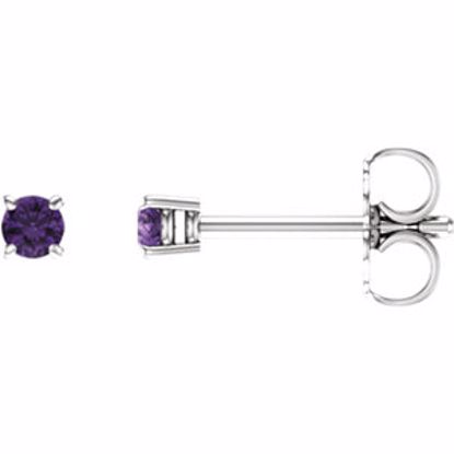 1874:70009:P 14kt White 2.5mm Round Amethyst Earrings