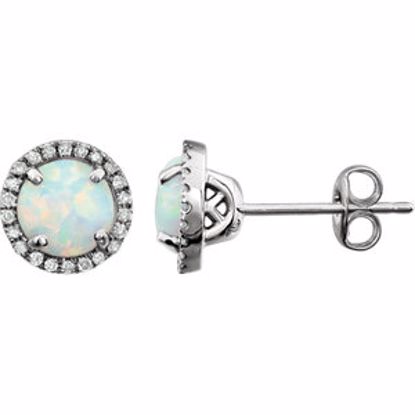 651302:70000:P 14kt White Created Opal & 1/8 CTW Diamond Earrings